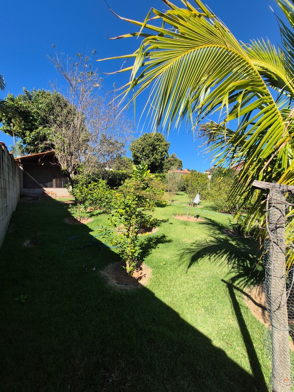 Chácara, 3 quartos - Foto 2