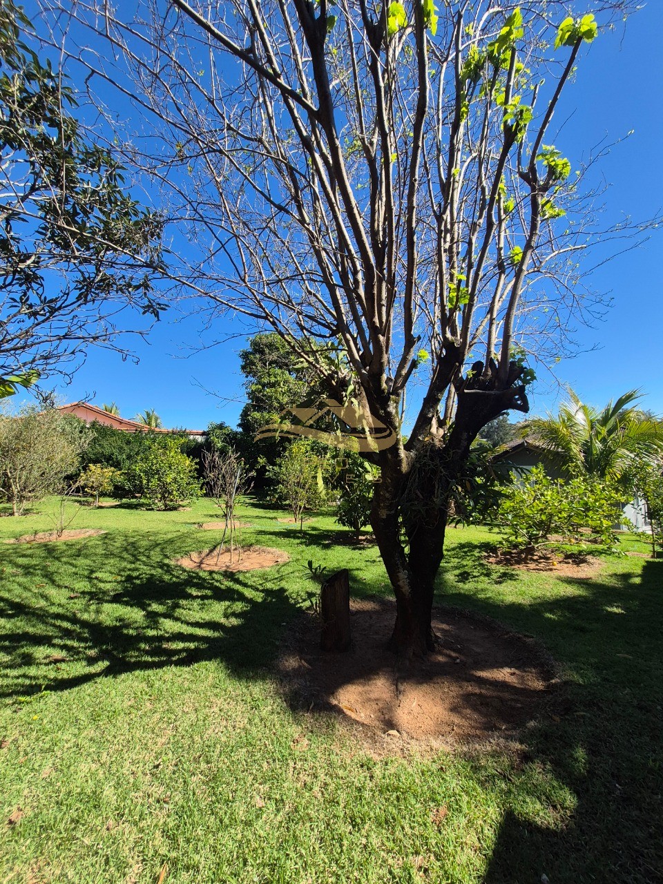 Chácara, 3 quartos - Foto 6