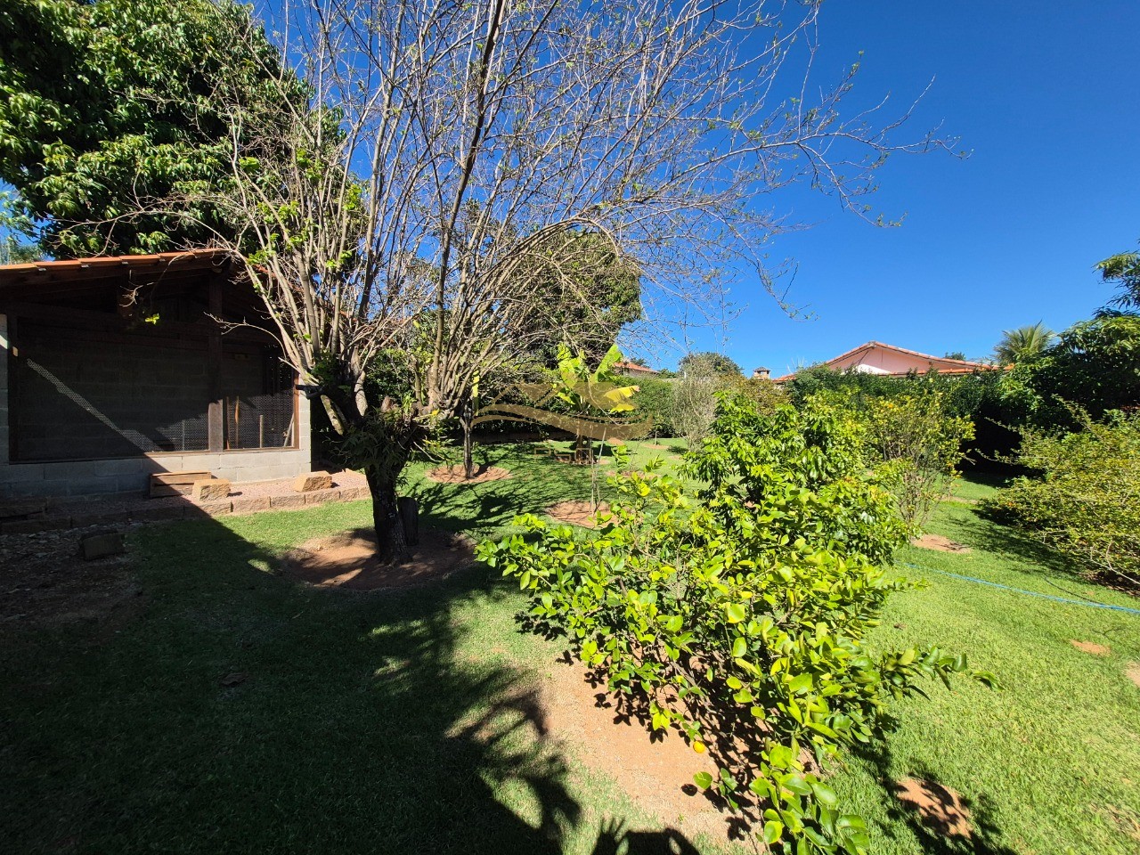 Chácara, 3 quartos - Foto 4