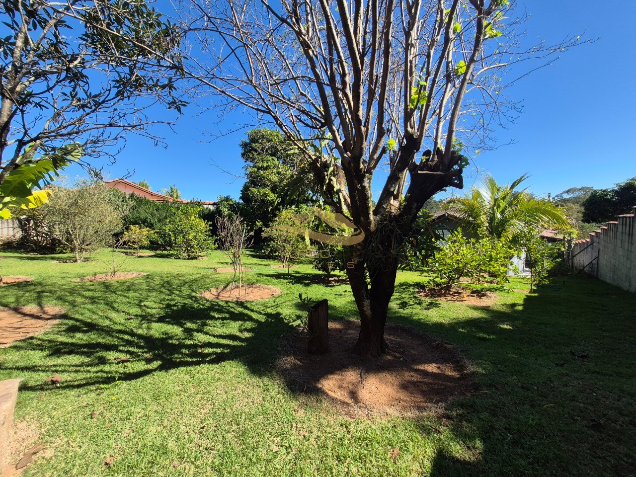 Chácara, 3 quartos - Foto 5