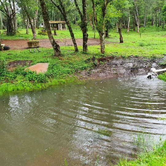 Chácara à venda com 3 quartos - Foto 4