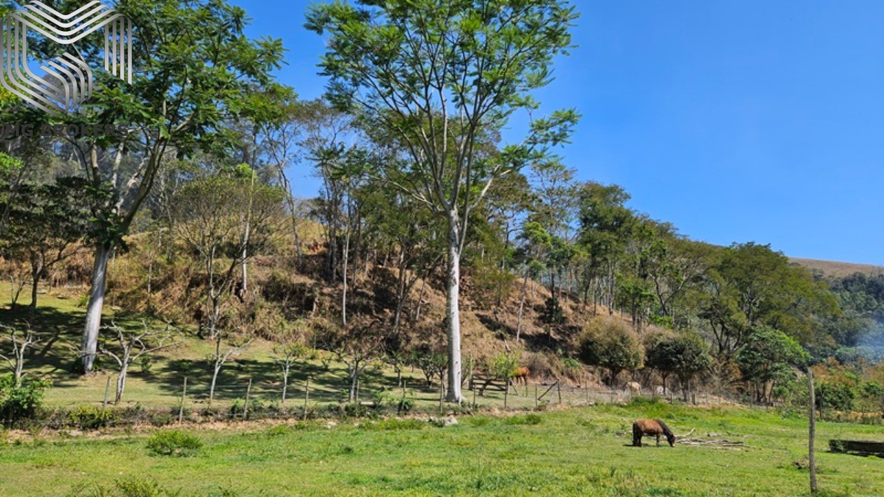 Sítio à venda com 8 quartos, 2500m² - Foto 18