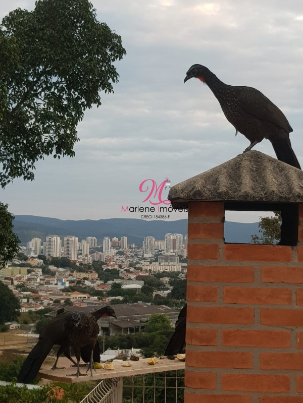 Casa à venda com 4 quartos - Foto 7