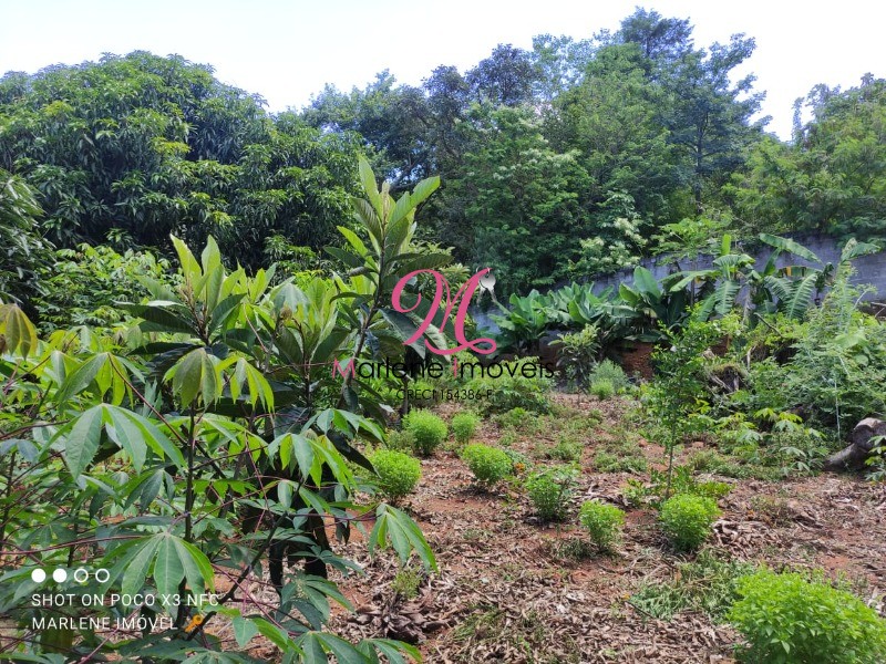 Chácara à venda com 4 quartos - Foto 40