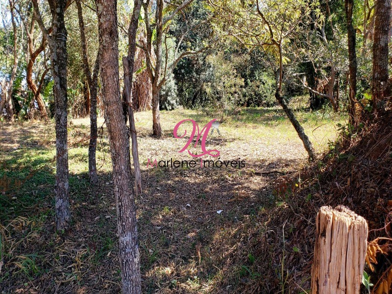 Loteamento e Condomínio à venda, 1000m² - Foto 5