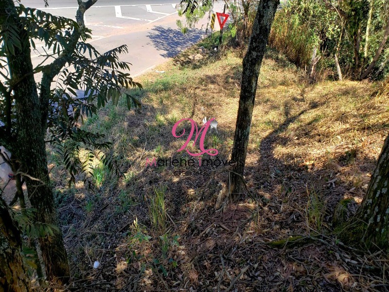 Loteamento e Condomínio à venda, 1000m² - Foto 2