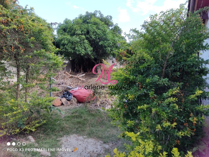 Terreno à venda com 1 quarto, 500m² - Foto 2