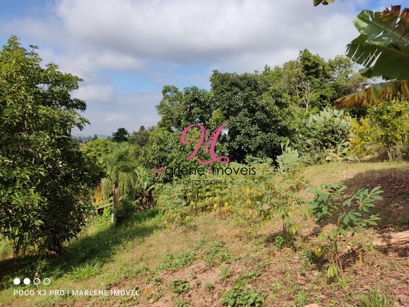 Terreno à venda, 1000m² - Foto 3