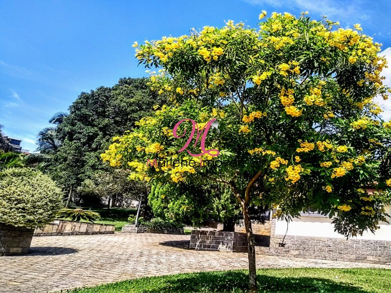 Chácara à venda com 4 quartos, 2500m² - Foto 19