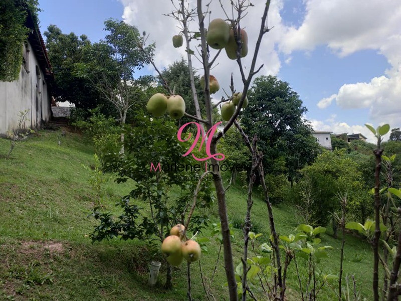 Chácara à venda com 6 quartos - Foto 28