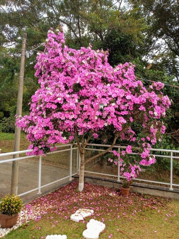 Casa à venda com 3 quartos - Foto 5