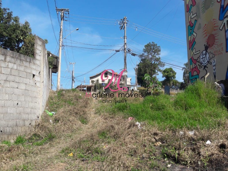 Terreno à venda, 6000m² - Foto 13