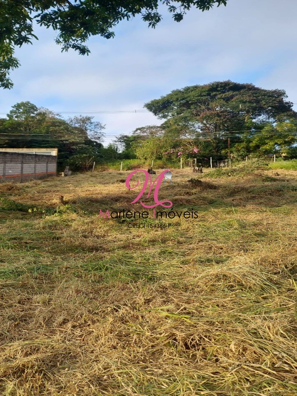 Terreno à venda, 1000m² - Foto 6