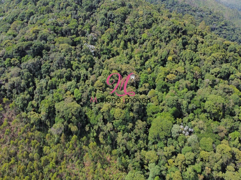 Terreno - Foto 2