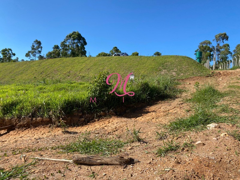 Terreno à venda, 6800m² - Foto 6