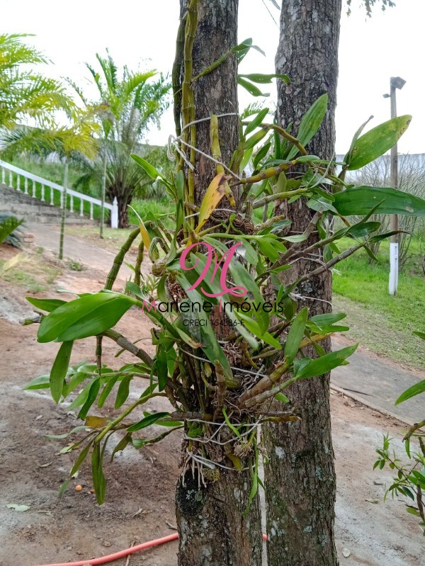 Chácara à venda com 4 quartos - Foto 34