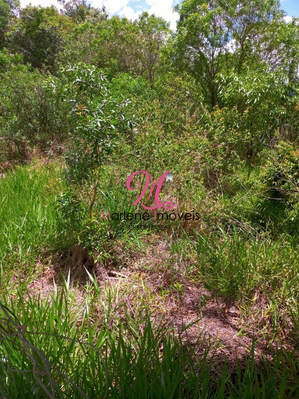 Terreno à venda, 1000m² - Foto 4