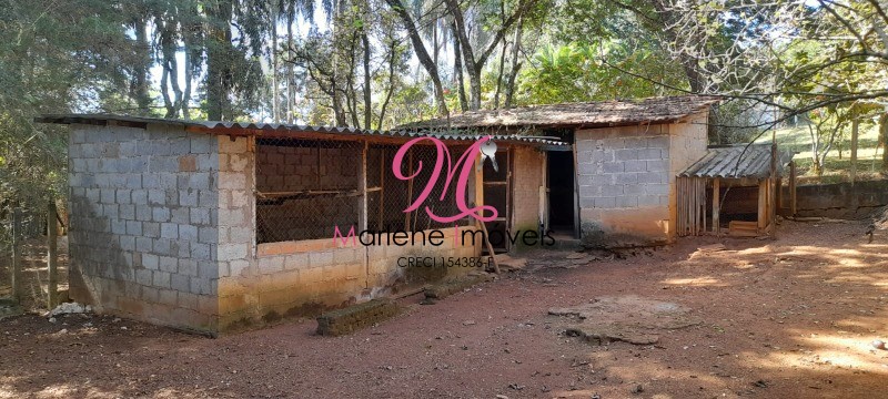 Sítio à venda com 3 quartos - Foto 46