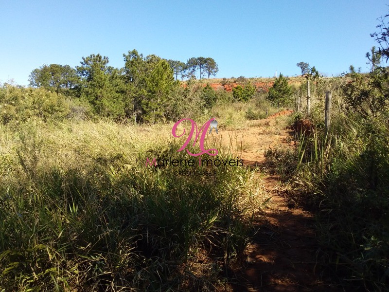 Terreno à venda, 675m² - Foto 4