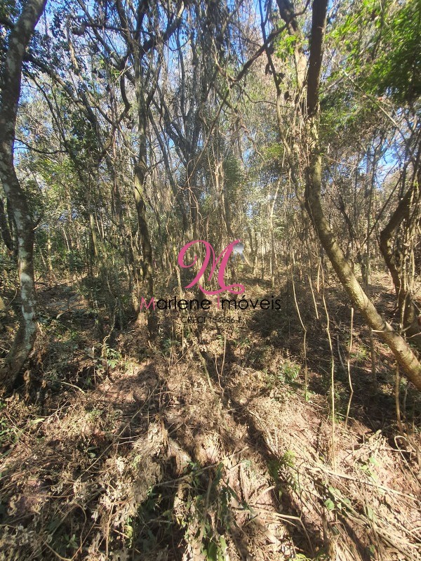 Terreno à venda, 1582m² - Foto 29