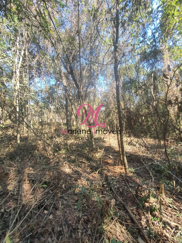 Terreno à venda, 1582m² - Foto 22