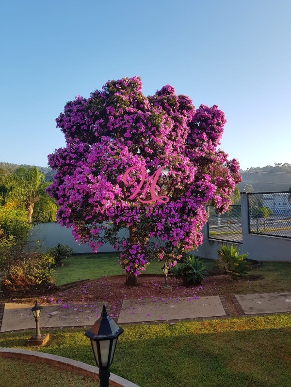 Chácara à venda com 4 quartos - Foto 5