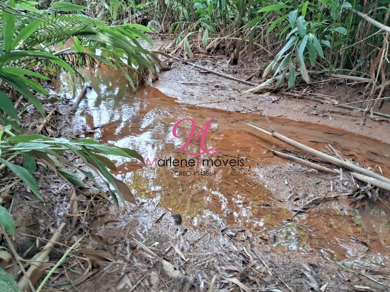 Chácara à venda com 3 quartos - Foto 3