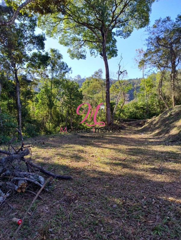 Terreno à venda, 5043m² - Foto 18