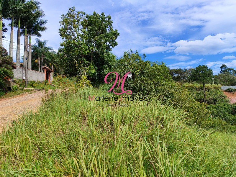 Terreno à venda, 1050m² - Foto 10