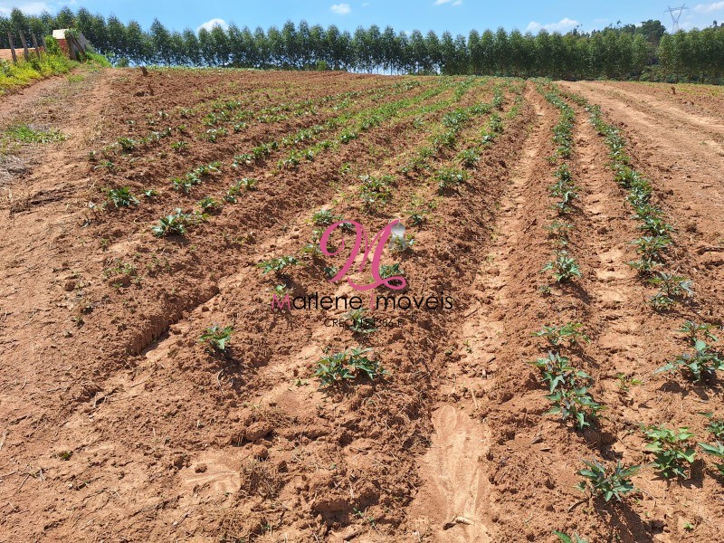 Terreno à venda, 20000m² - Foto 1