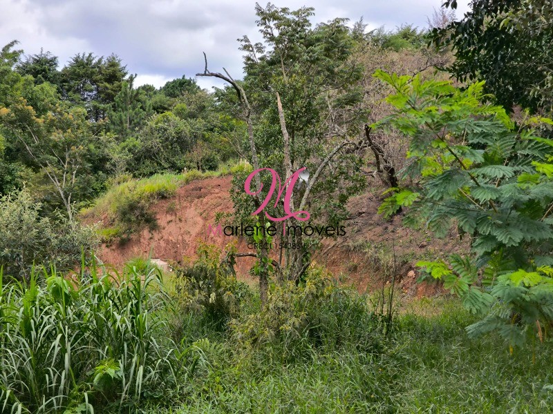 Terreno à venda, 1798m² - Foto 7