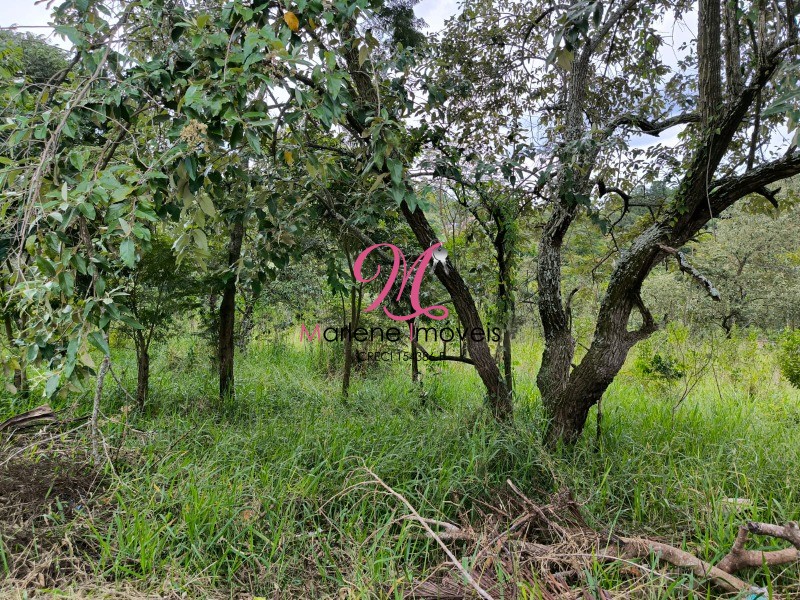 Terreno à venda, 1133m² - Foto 16