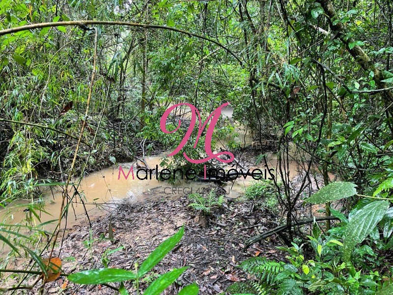 Haras e Área Rural Padrão à venda - Foto 3