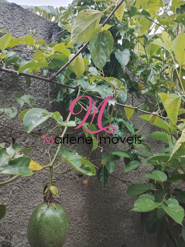 Chácara, 1 quarto - Foto 11
