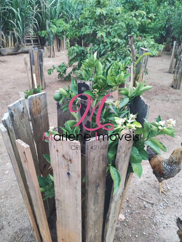 Chácara, 1 quarto - Foto 15