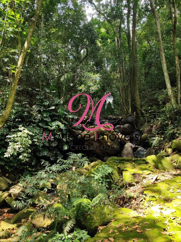 Sítio, 5 quartos - Foto 27