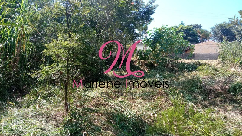 Terreno - Foto 1