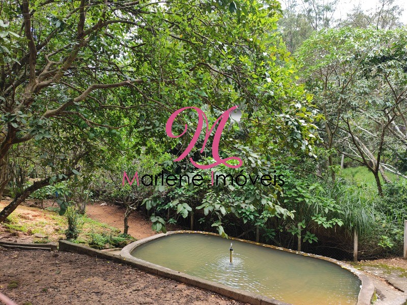 Sítio, 5 quartos - Foto 6