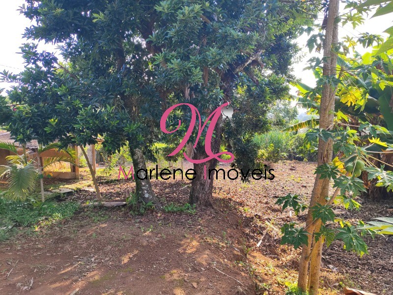 Chácara, 3 quartos - Foto 11
