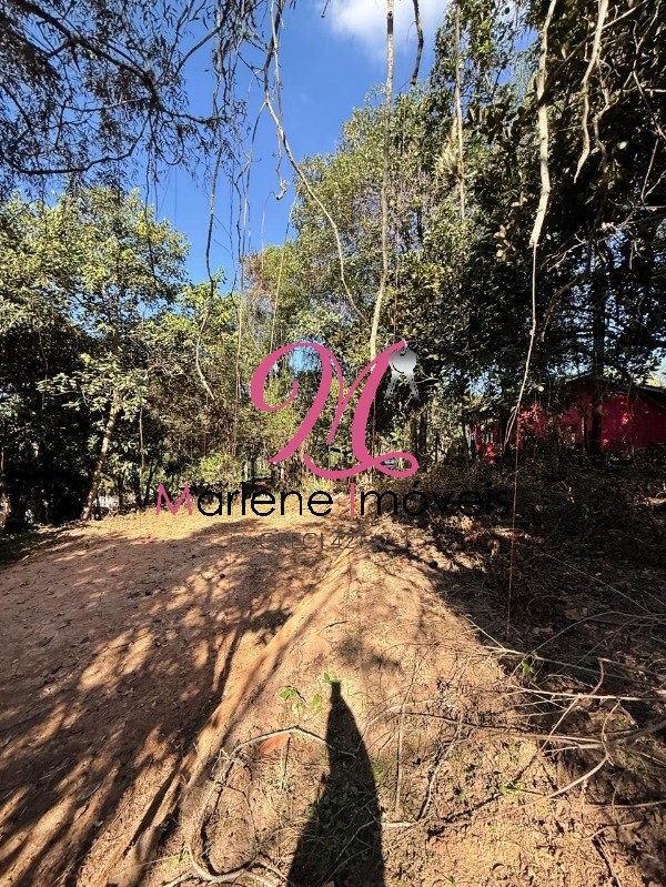 Terreno - Foto 4