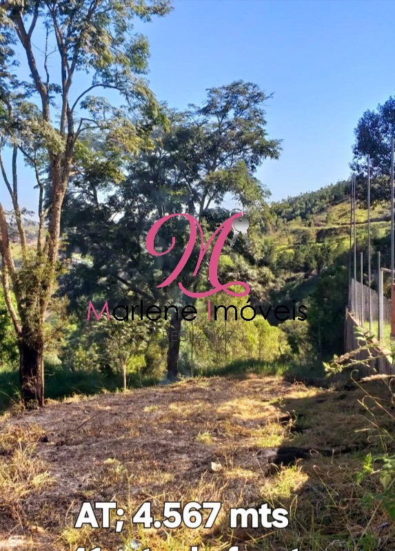 Terreno - Foto 2