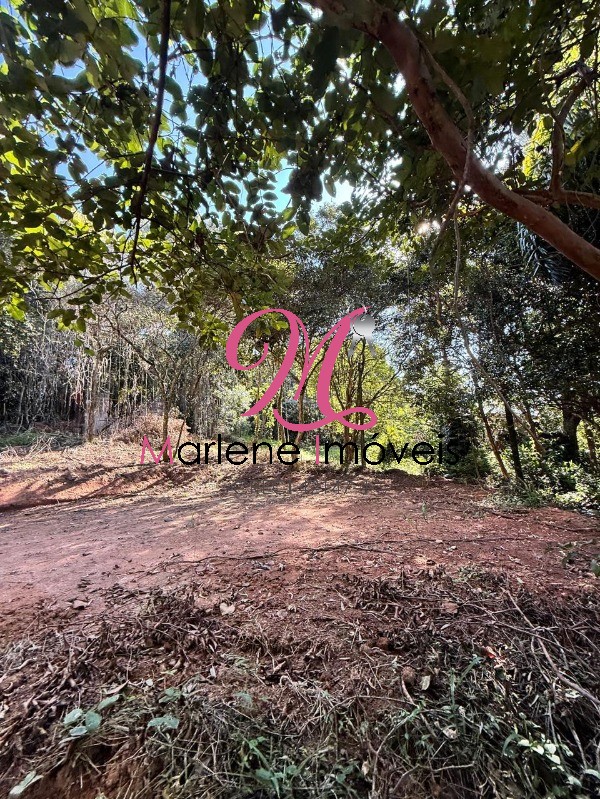 Terreno - Foto 15