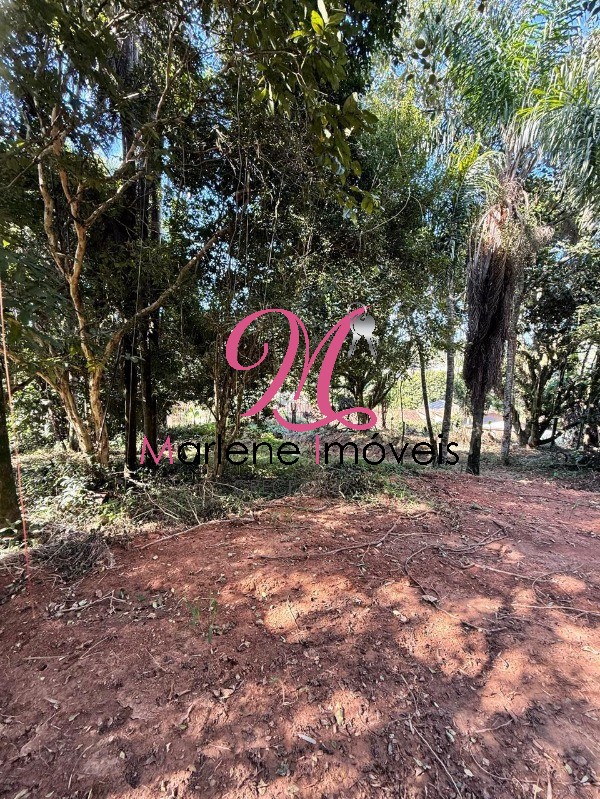Terreno - Foto 11