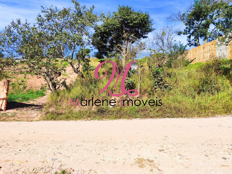 Terreno - Foto 4