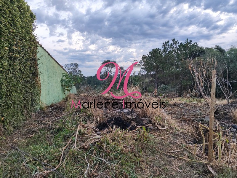 Terreno - Foto 1