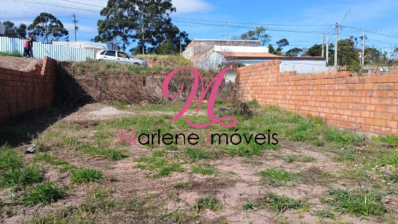 Terreno - Foto 2