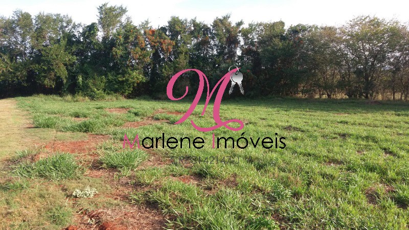 Terreno - Foto 4