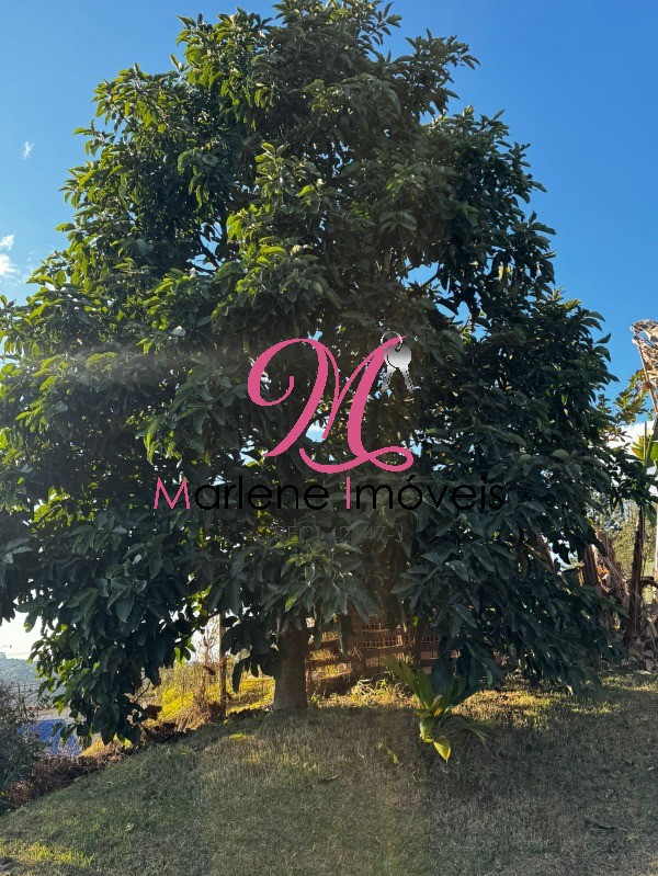Terreno - Foto 9