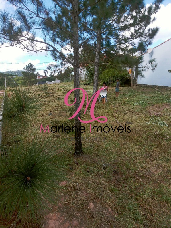 Terreno - Foto 2
