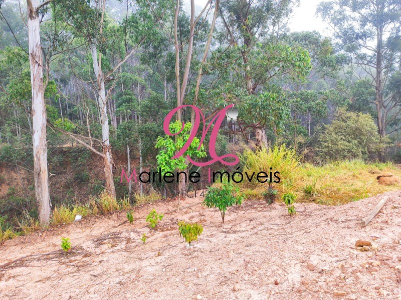 Terreno - Foto 2